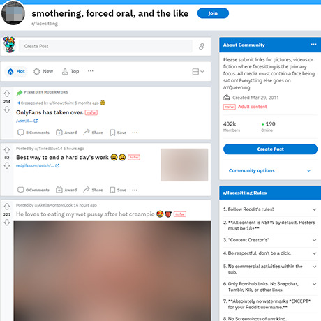 Face Sitting – A Vibrant NSFW Community on Reddit
