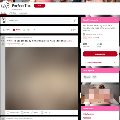 Perfect Tits – Reddit NSFW List and R/PerfectTits Review