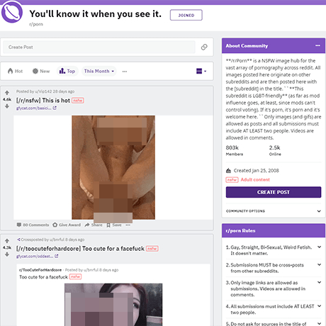 Reddit Porn – A Vast NSFW Subreddit for Adult Images and GIFs