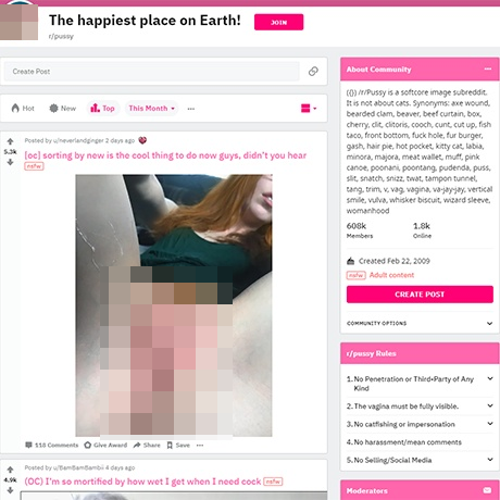 Pussy – Browse Amateur Pussy Pics and Videos on Reddit