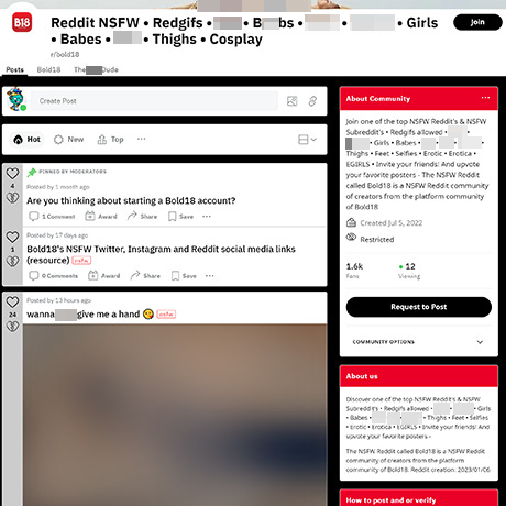 Bold18 – Official NSFW Subreddit for Amateur Models and Daily Content