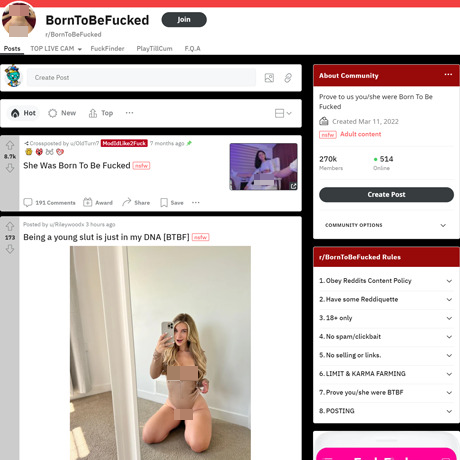 BornToBeFucked – A Subreddit for Sexy Women Who Deserve to Be Fucked