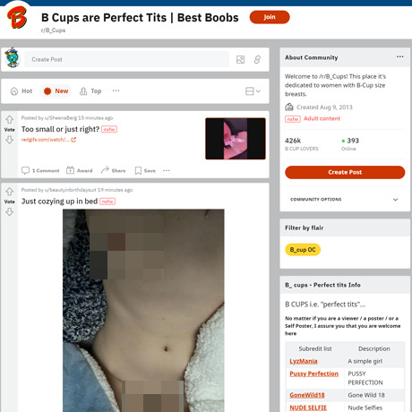 B Cups – NSFW Subreddit for Amateur B-Cup Tits | Reddit Review