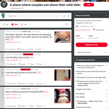 Couples Gone Wild – Real Amateur Couples Sharing Their Sex Lives on Reddit