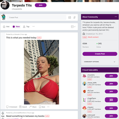 Torpedo Tits – NSFW Subreddit for Firm Boobs and Breast Lovers