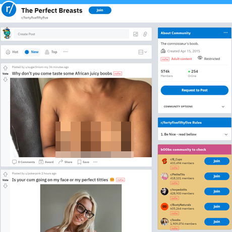 FortyFiveFiftyFive – A Reddit Haven for Beckoning Breasts
