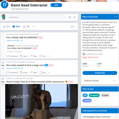 DamnGoodInterracial – Interracial Porn Subreddit Review | Reddit NSFW
