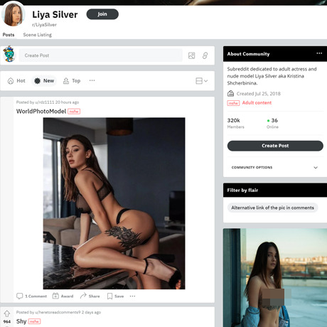 Reddit r/LiyaSilver – A Subreddit Dedicated to the Adult Star