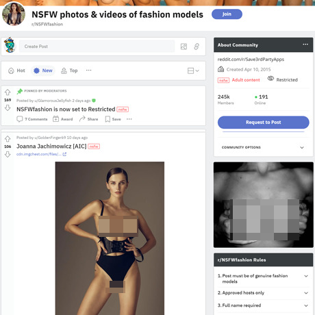 NSFW Fashion – Premium Adult Models on Reddit