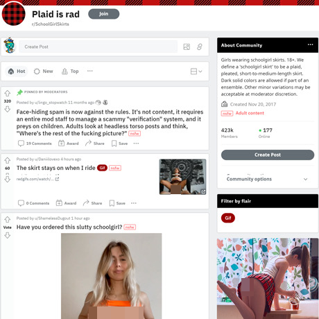SchoolGirlSkirts – Plaid Skirt Fetish Subreddit Review