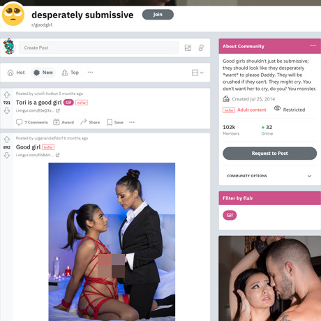 GoodGirl – BDSM Porn Subreddit Review | NSFW Community