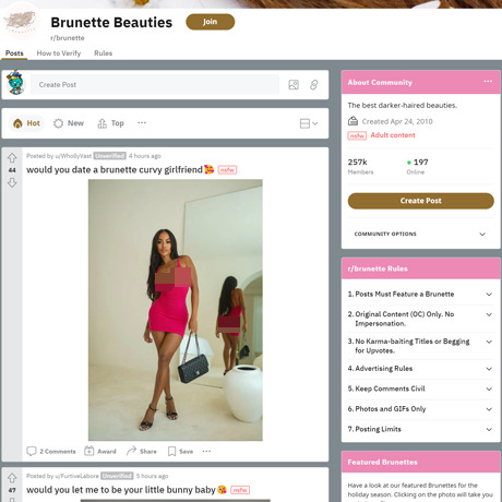 Brunette – The Go-To Subreddit for Brunette Content