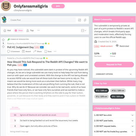 OnlyFans Small Girls – Petite Models on Reddit | NSFW Subreddit Review