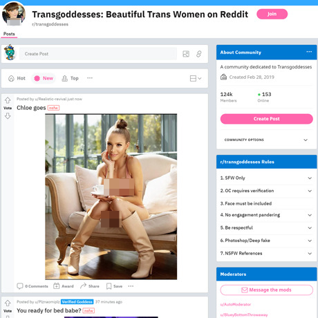 Transgoddesses – Reddit's Hub for Verified Transgender Goddesses