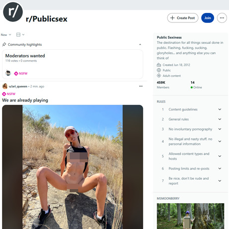 Reddit Public Sex – Real Exhibitionist Content from a Thriving NSFW Community