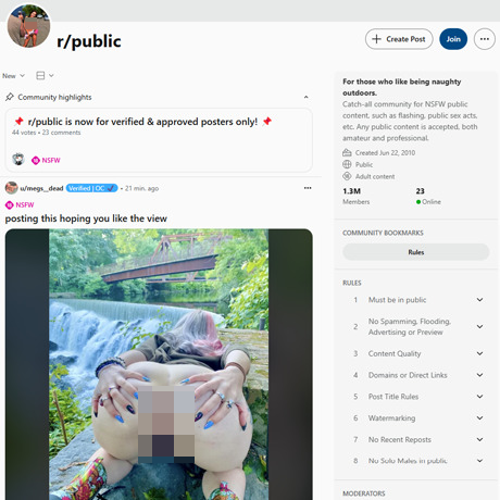 Reddit Public – Massive NSFW Subreddit for Public Sex and Flashing