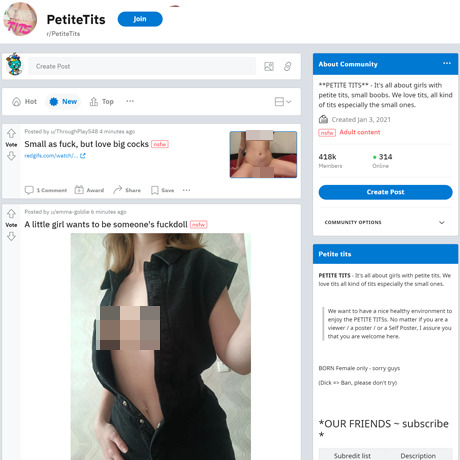 Petite Tits – A Vibrant Community for Small Breast Lovers | Reddit NSFW