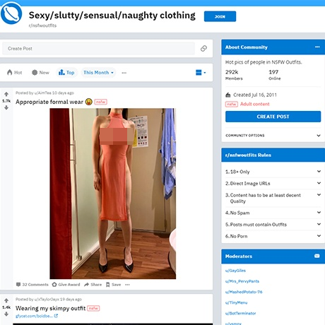 NSFW Outfits – A Reddit Subreddit for Seductive and Themed Attire