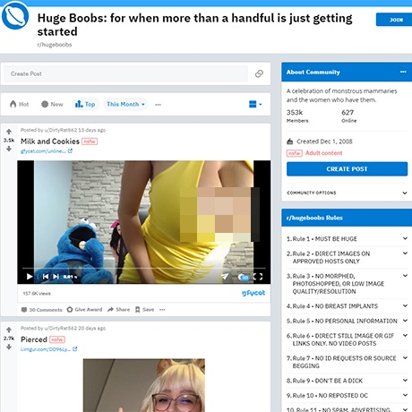 HugeBoobs – r/HugeBoobs Subreddit for Natural Big Boobs