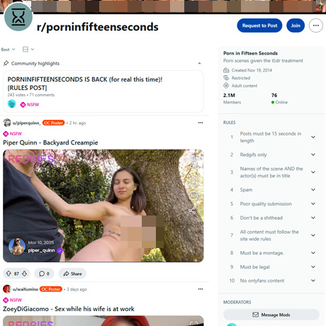Reddit Porn In Fifteen Seconds – Short Adult Clips on Reddit