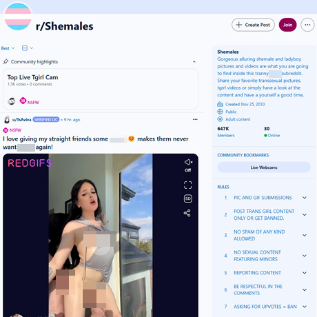Reddit Shemales – A Vibrant NSFW Community for T-Girl Lovers