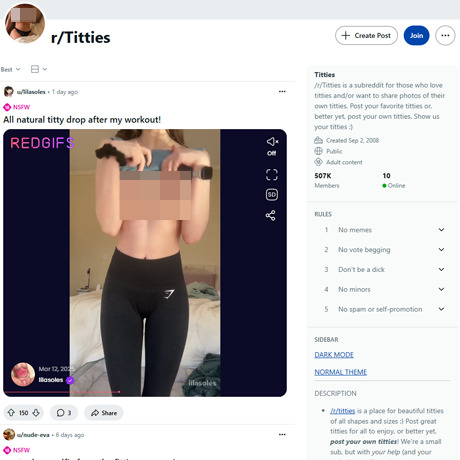 Reddit Titties – Celebrating All Breasts on Reddit's NSFW Subreddit