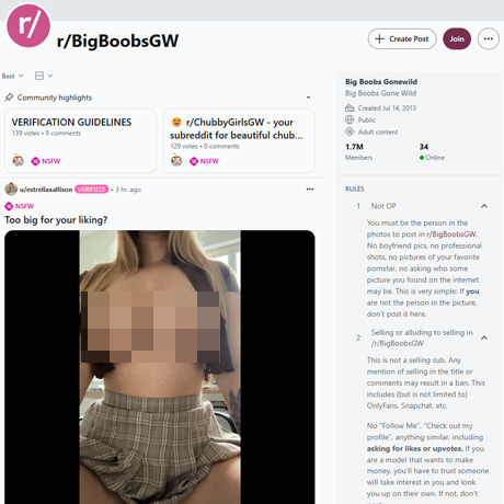 Reddit BigBoobsGW – Busty Amateur Subreddit Review