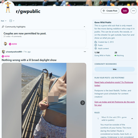 Reddit Gone Wild Public – Browse r/gwpublic for Public Nudes