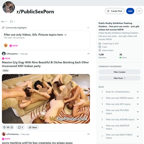 Reddit Public Sex Porn – Top NSFW Subreddit for Public Sex Content