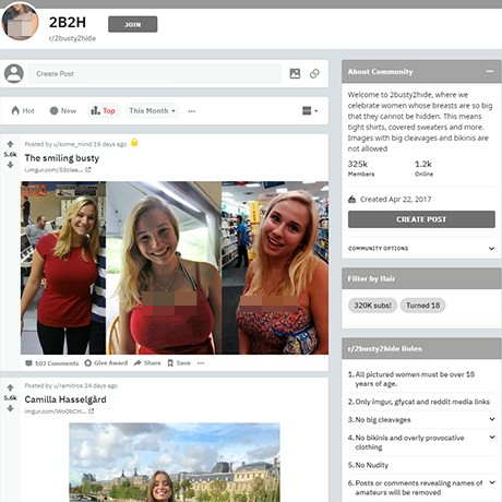 2Busty2Hide – SFW Big Boobs Community on Reddit