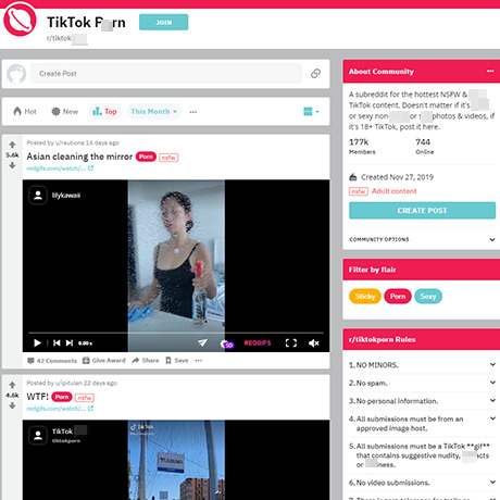 Reddit TikTok Porn – Naughty TikTok Videos & NSFW Subreddits