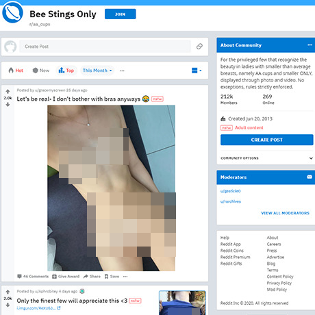 AA Cups – Discover the R/AA_Cups Subreddit for Small Breasts