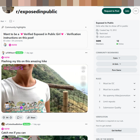 Reddit Exposed In Public – Amateur Girls Getting Naked in Public
