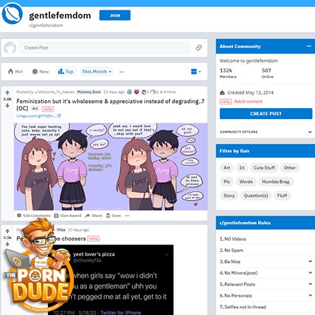 Gentle Femdom – Soft Domination Subreddit Reviews