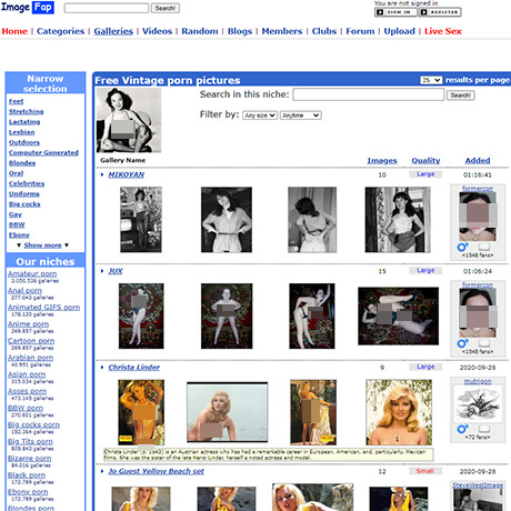 ImageFap – Vintage Porn Galleries, Gifs & Free Amateur Content