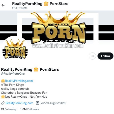 RealityPornKing – Twitter Account with Adult Content Links and Photos