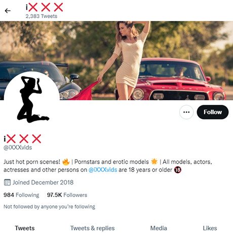 iXXX Vids – Handpicked Premium Twitter Porn Accounts