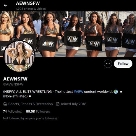 All Elite Wrestling – Hot Wrestling Divas on NSFW Twitter